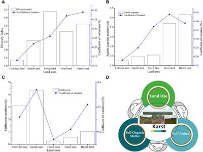 Spatial distribution characteristics of soil organic matter in different land uses and its coupling with soil animals in the plateau basin in the South China Karst basin